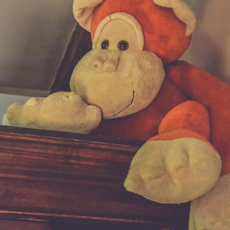Edes Otthon Vendeghaz Otel Nagyborzsony Dış mekan fotoğraf