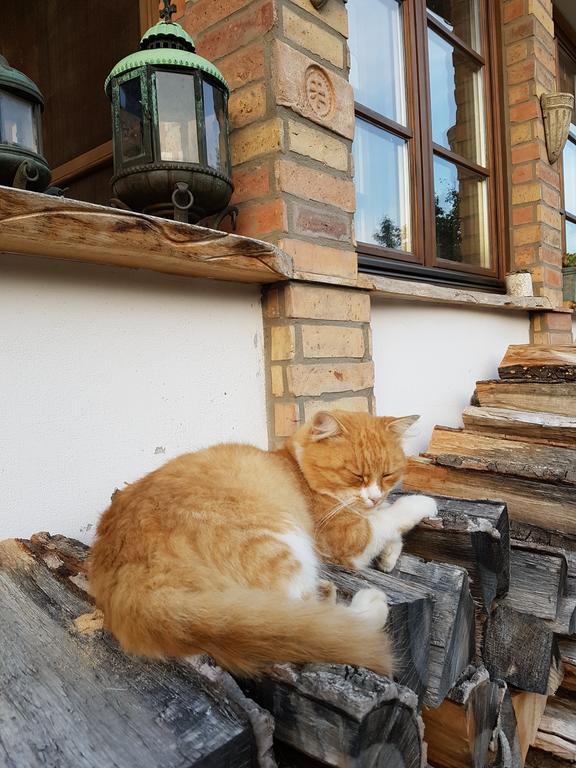 Edes Otthon Vendeghaz Otel Nagyborzsony Dış mekan fotoğraf